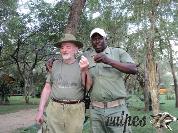 Africký stopár