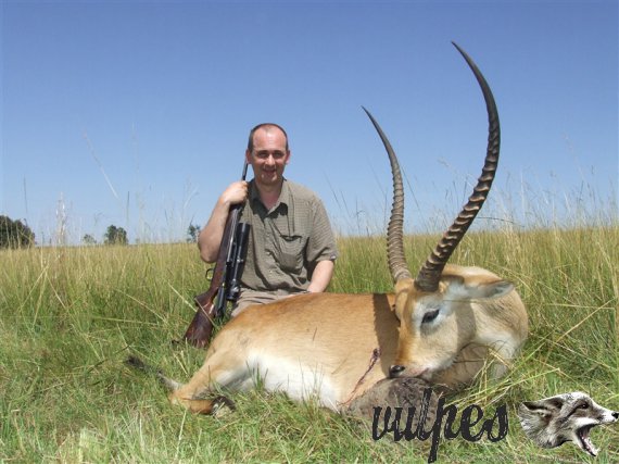 Lechwe