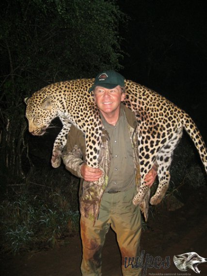 Leopard