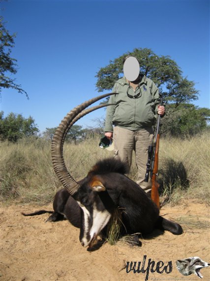 Sable