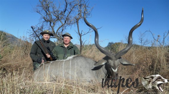 Kudu