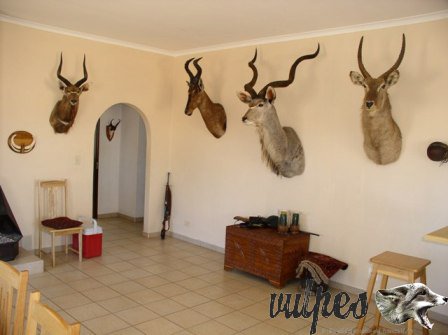 namibia 041