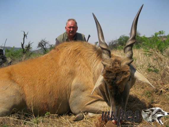 Poľovačka Južná afrika