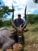 Nyala