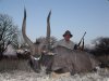 Nyala1