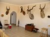 namibia 041