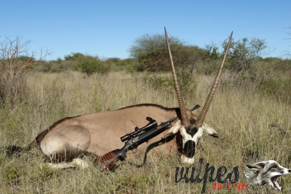 Poľovačka Oryx