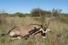 Poľovačka Oryx